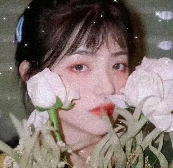 戴帽子的猫